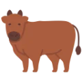 A2 Gir cow dairy on PomX integrated farmland